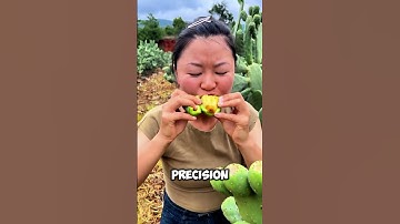 This Is How Prickly Pears Are Collected from Cactus 🌵🍈 #shorts