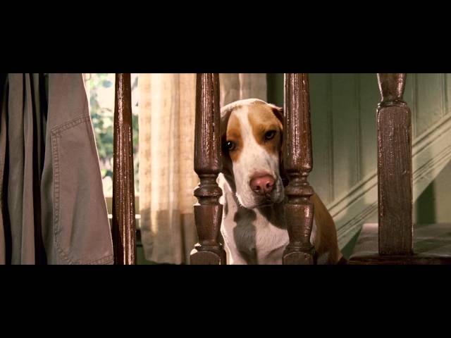 Відео до фільму Суперпес | Суперпес - Трейлер