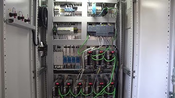 Smart Sorting in Action | TRUELISORT Automated Warehouse Solutions