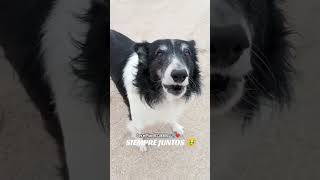 Estaré subiendo muchos recuerdos con el Pipo espero que les guste!! 🐾❤️🌎