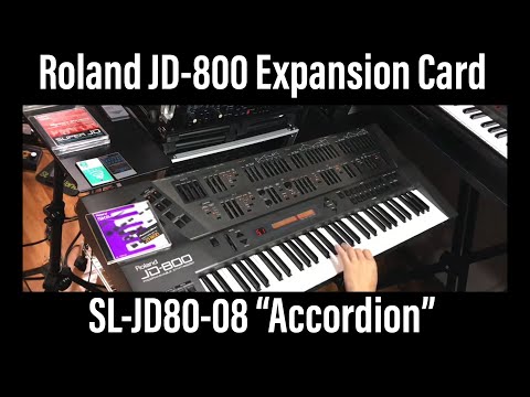 (1/2) Roland JD800 SL-JD80-08 Accordion