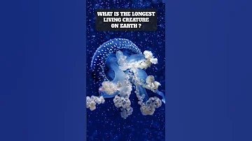 What is the longest living creature on earth ?