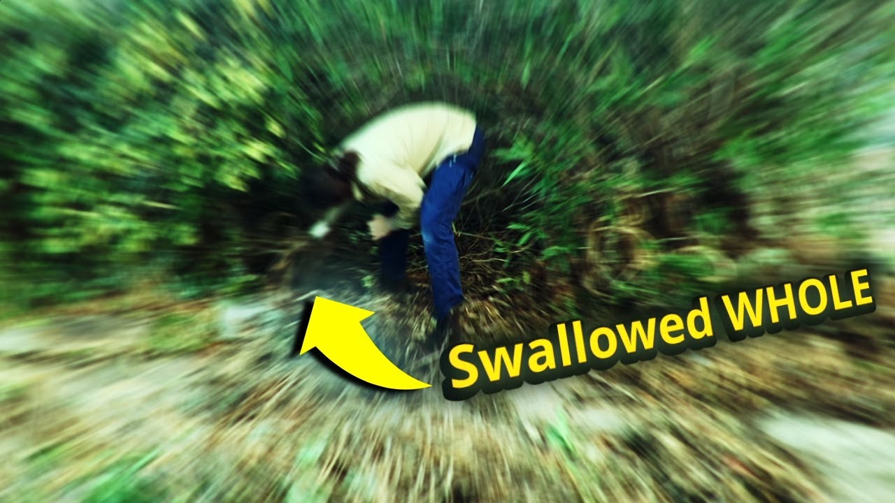 How Did This MESSY Garden Turn So CLEAN - My first FREE yard clean up