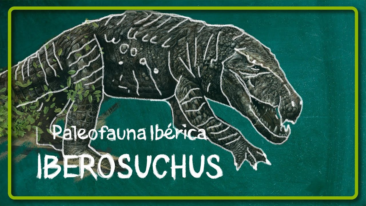 IBEROSUCHUS, el gran depredador del Duero