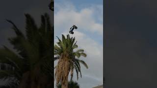 Redcat Vigilante Flies into a Tree!