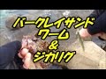 【海釣りルアーフィッシング】バークレイ　ガルプ　サンドワーム＆ジカリグ