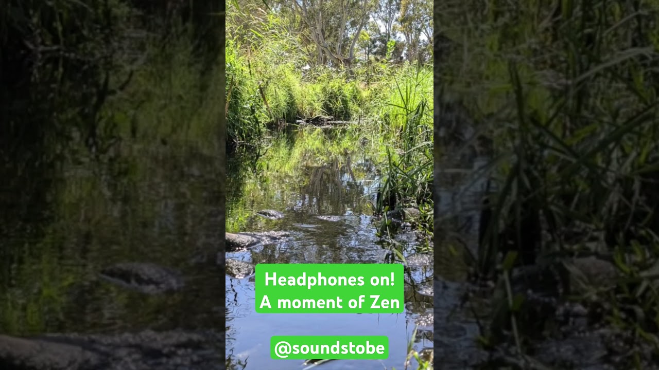 It's Zen o'clock. Time for you to take some time out. #soundscape #naturesounds #soundstobe #zen