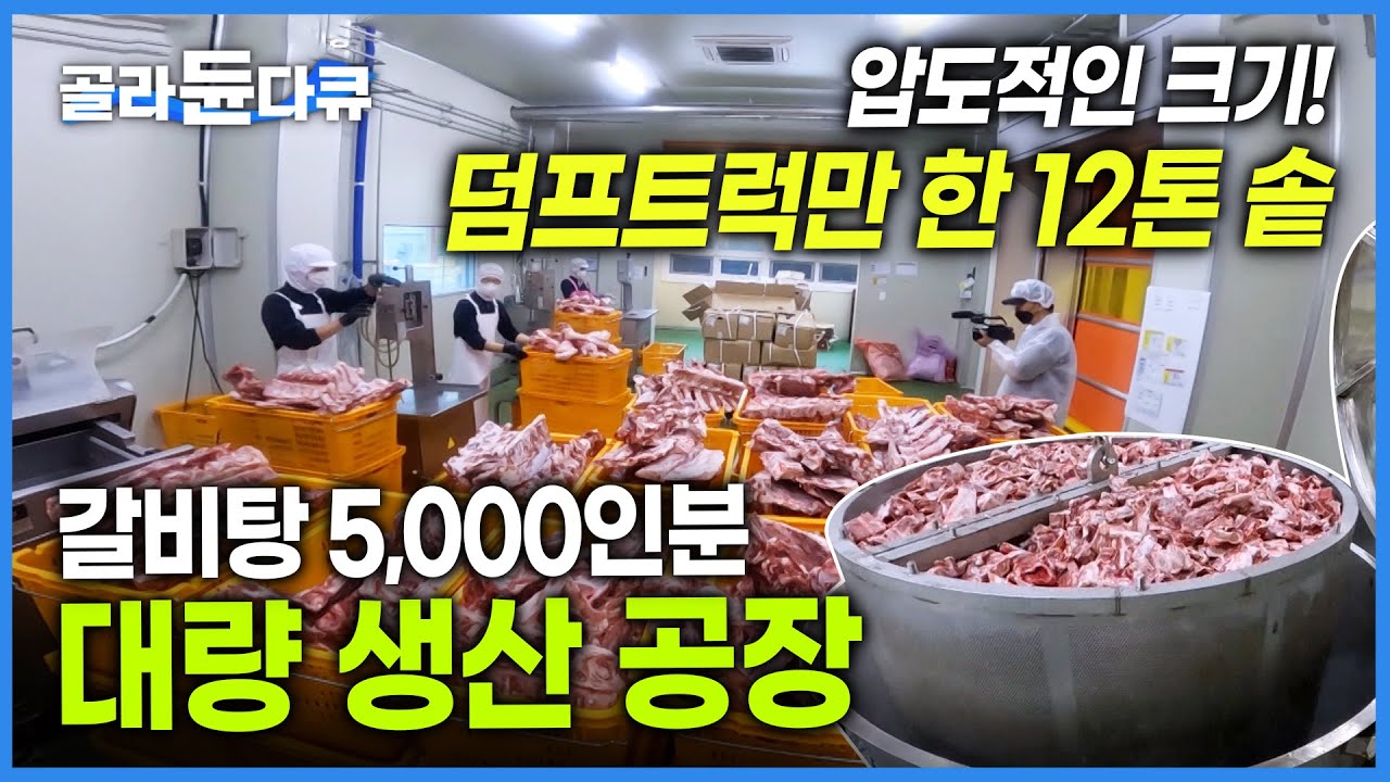 압도적인 양! 고기만 400kg 사용하는 곰탕, 갈비탕 대량 생산 과정│엄청난 크기의 솥으로 만드는 곰탕, 갈비탕│극한직업│#골라듄다큐