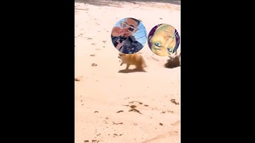 When the guy drafting in front of you keeps taking your player