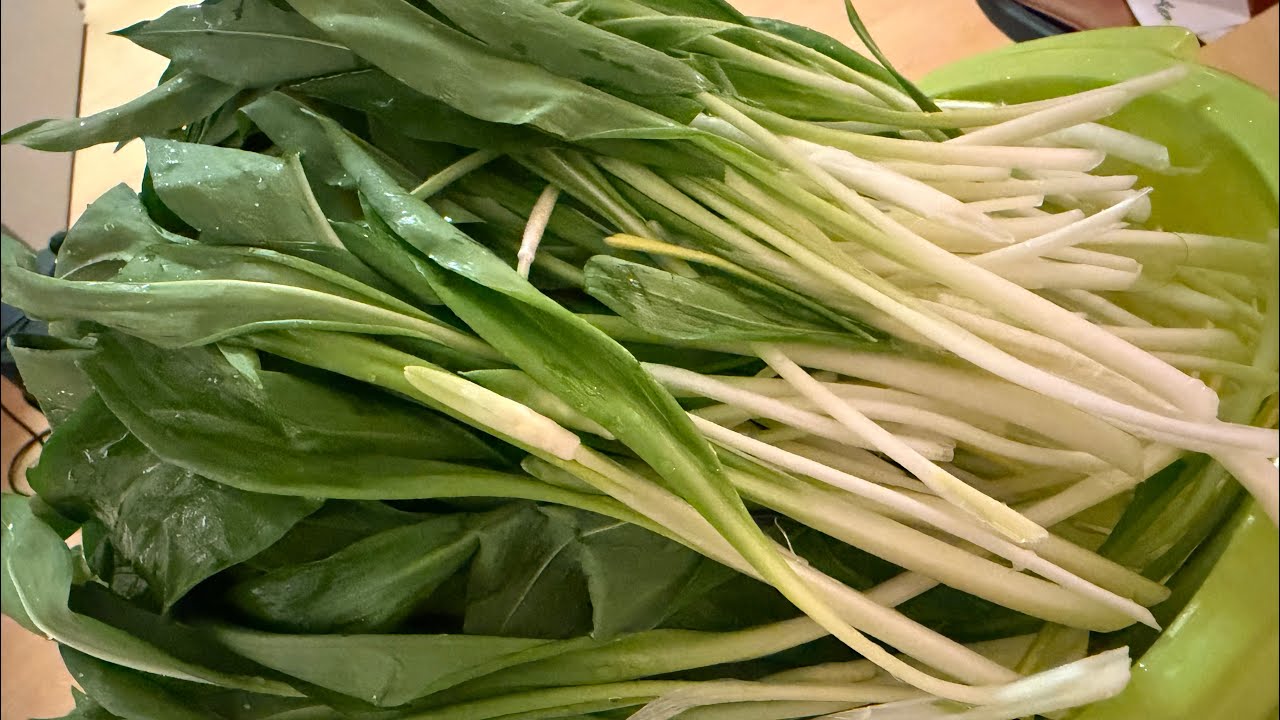 27-2-2026 กระเทียมป่า🌱🌱อลังการเยอะมากๆในป่า🌴🌳นี้ ไปเก็บกระเทียมป่า🌱🌱ในยามใกล้คำ่ด้วยกันค่ะ😍😜