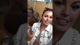 Why Do Some Horses Wear Earplugs?