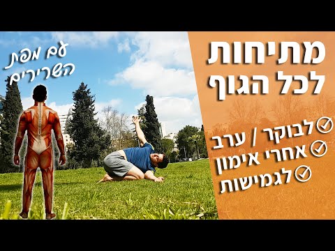 אימון מתיחות לכל הגוף - מתיחות אחרי אימון / מתיחות בוקר (אימון גמישות)