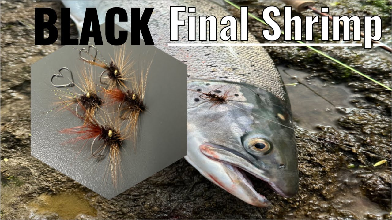 Black Final shrimp 🦐