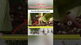 Trichoderma harzianum Liquid 1 Liter