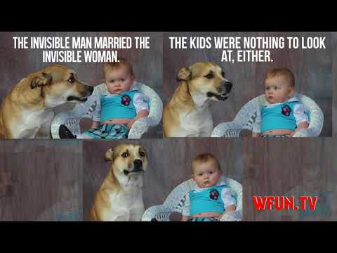 dad-joke-dog-meme-23