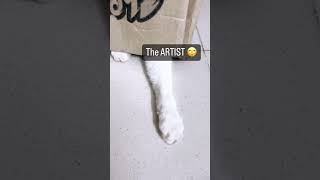 The art the artist meme #meme #funny #memes #viral #comedy #shorts #catscratch