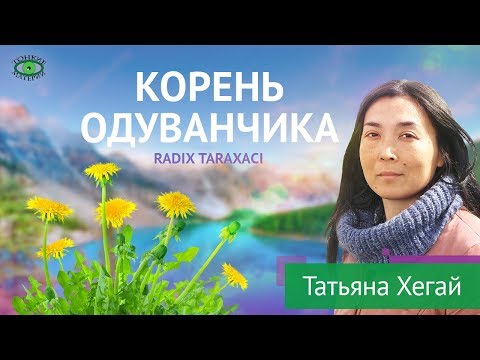 Корень одуванчика. Травяная аптека. Татьяна Хегай