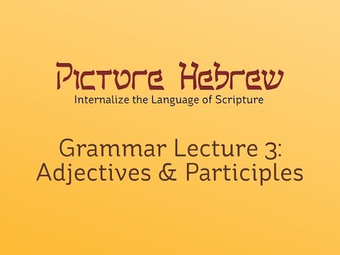 Biblical Hebrew Grammar