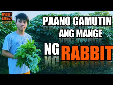 Video: Paano Maiiwasan Ang Pagkalat Ng Mga Nakakahawang Sakit Sa Mga Kuneho