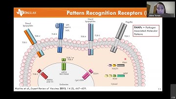 A closer Look at Vaccine Adjuvants for Immune System Enhancement