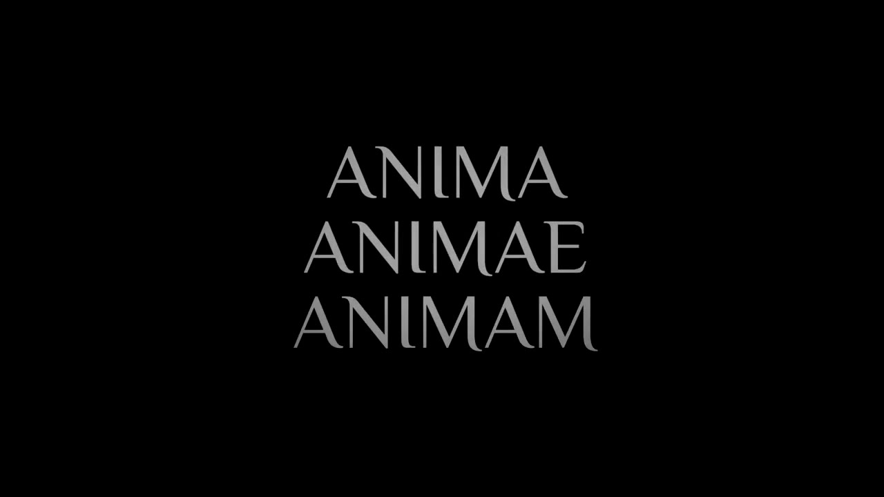 ANIMA·ANIMAE·ANIMAM