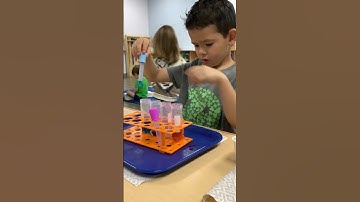 Inquiry Based Learning - Who Can I Aspire to Be?