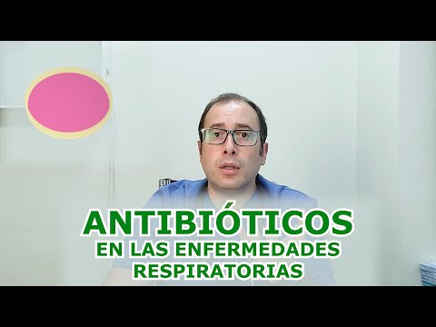 El papel de
