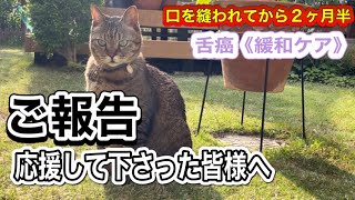 【口の中を縫われてから2ヶ月半】ご報告・応援して下さった皆様へ〜舌癌《緩和ケア》