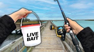 Fishing the DOCKS for Whatever Bites!! (Saltwater Fishing)
