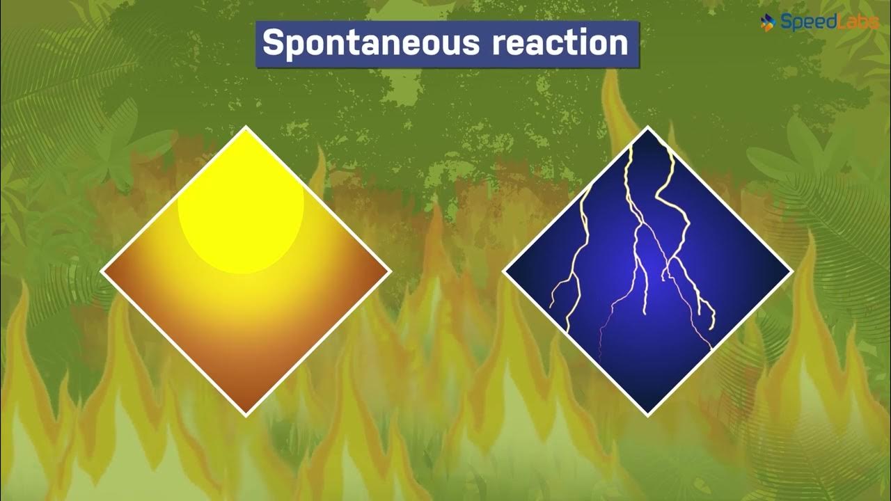 class-8-science-ch-10-combustion-flame-topic-types-of-combustion