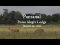 Pantanal 2021