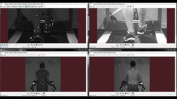 Quintic Software - 4 Video Gait Analysis