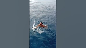 TUYỆT VỜI, CUỐI CÙNG CŨNG BẮT ĐƯỢC EM BẠCH TUỘC - OCTOPUS FISHING #shorts