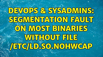 DevOps & SysAdmins: Segmentation fault on most binaries without file /etc/ld.so.nohwcap