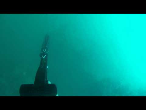 2014 koah spearguns promo action news abc action news santa