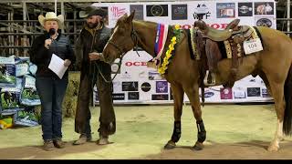 Rookie L1 Champion Mitch Dunnachie @ 2023 NRHA Oceania Affiliate Championships