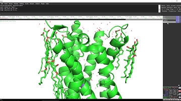 TUTORIAL: How to use Pymol for molecular visualization