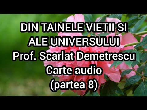 Video: Stil de viață imoral: în prag și dincolo