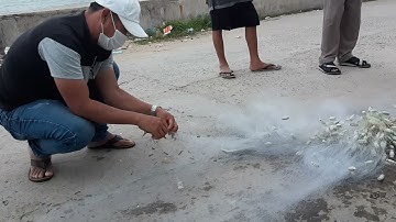 Đánh cá đối tại bãi biển Phan Rí Cửa.