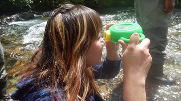 People Power for Healthy Rivers: DNA Technology Meets Citizen Science in STREAM