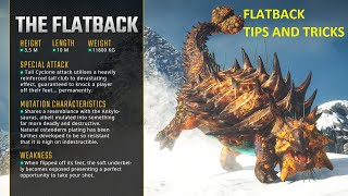 Second Extinction: Flatback Tips and Tricks