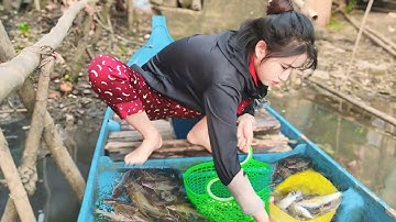 Giăng Câu Cá Lăng Và Giao Lưu Các Anh MƯU SINH MIỀN QUÊ  Trên Sông #fishing #lifeinvietnam