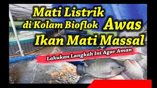 Apa Yang Harus Dilakukan Ketika Listrik Mati Di Kolam Bioflok Agar Ikan Tidak Mati Massal