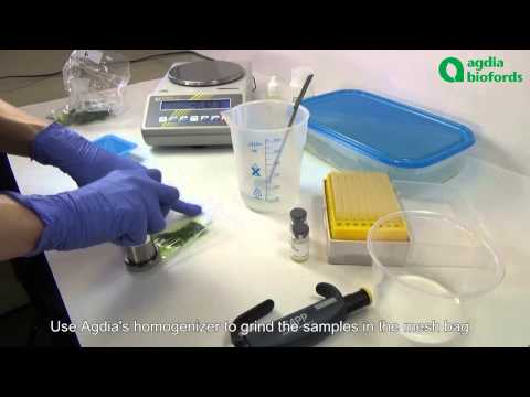 Plant Pathogen ELISA detection: How to prepare your samples?