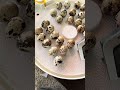 Day 14- lockdown day! 🐣✨ #chicks #lockdown #hatching #incubator #hatchingeggs