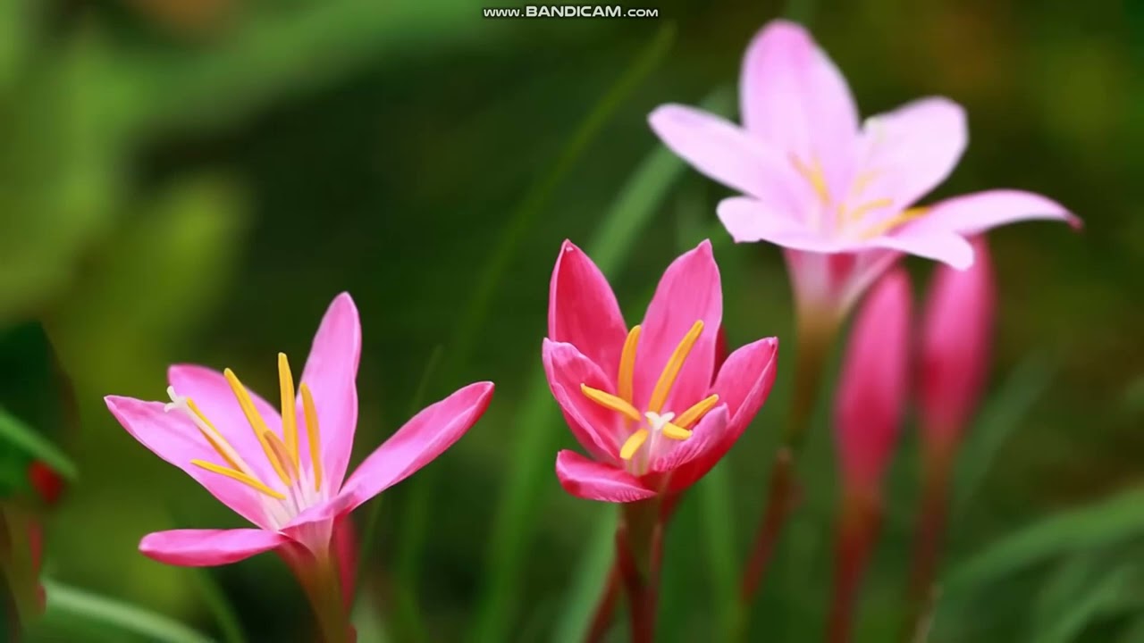 Обращение к инвесторам !