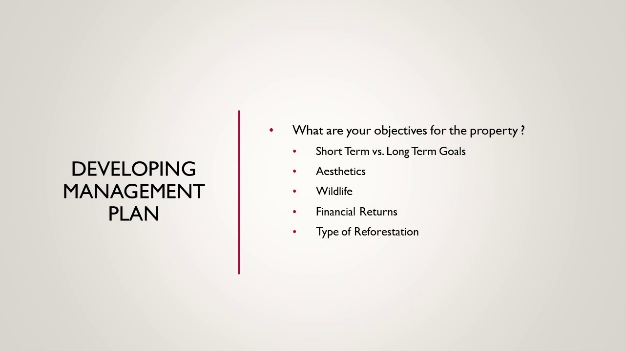 Selling Timber: The Process