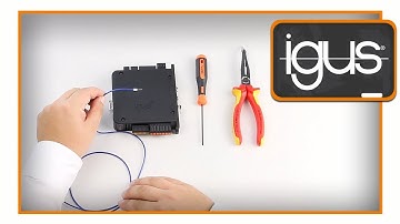 dryve D1 EU 002 Connecting the basic wiring