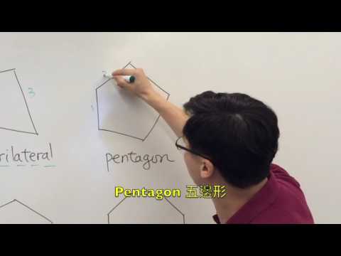 6.2f Polygons - triangle, quadrilateral, pentagon, hexagon, heptagon, octagon