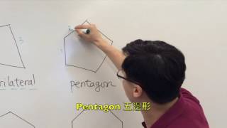 6.2f Polygons - triangle, quadrilateral, pentagon, hexagon, heptagon, octagon